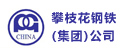湖南攀枝花鋼鐵集團(tuán)公司